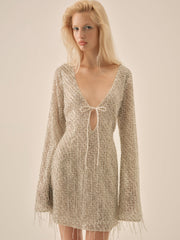Twinkle Sequin Mini Dress Silver