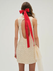 Frosted Organza Mini Dress Cream