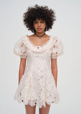 Aphrodite Embroidered Mini Dress White
