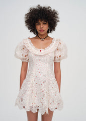 Aphrodite Embroidered Mini Dress White