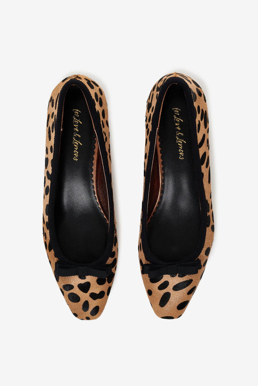 Lucia Ballet Pump Brown