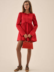 Lucia A-Line Mini Dress Red