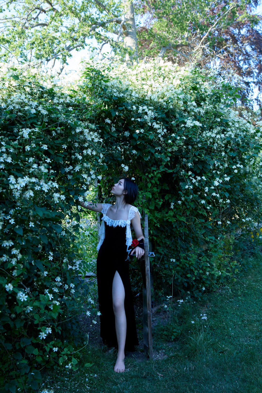 La Vie En Bow Velvet Maxi Dress Black