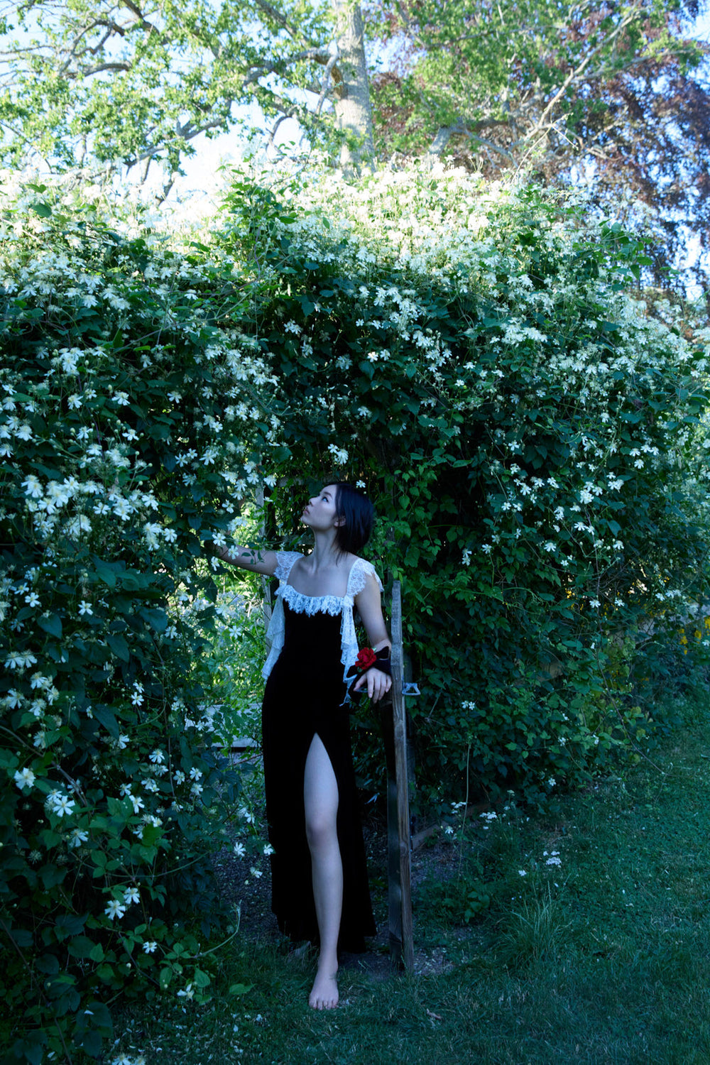 La Vie En Bow Velvet Maxi Dress Black