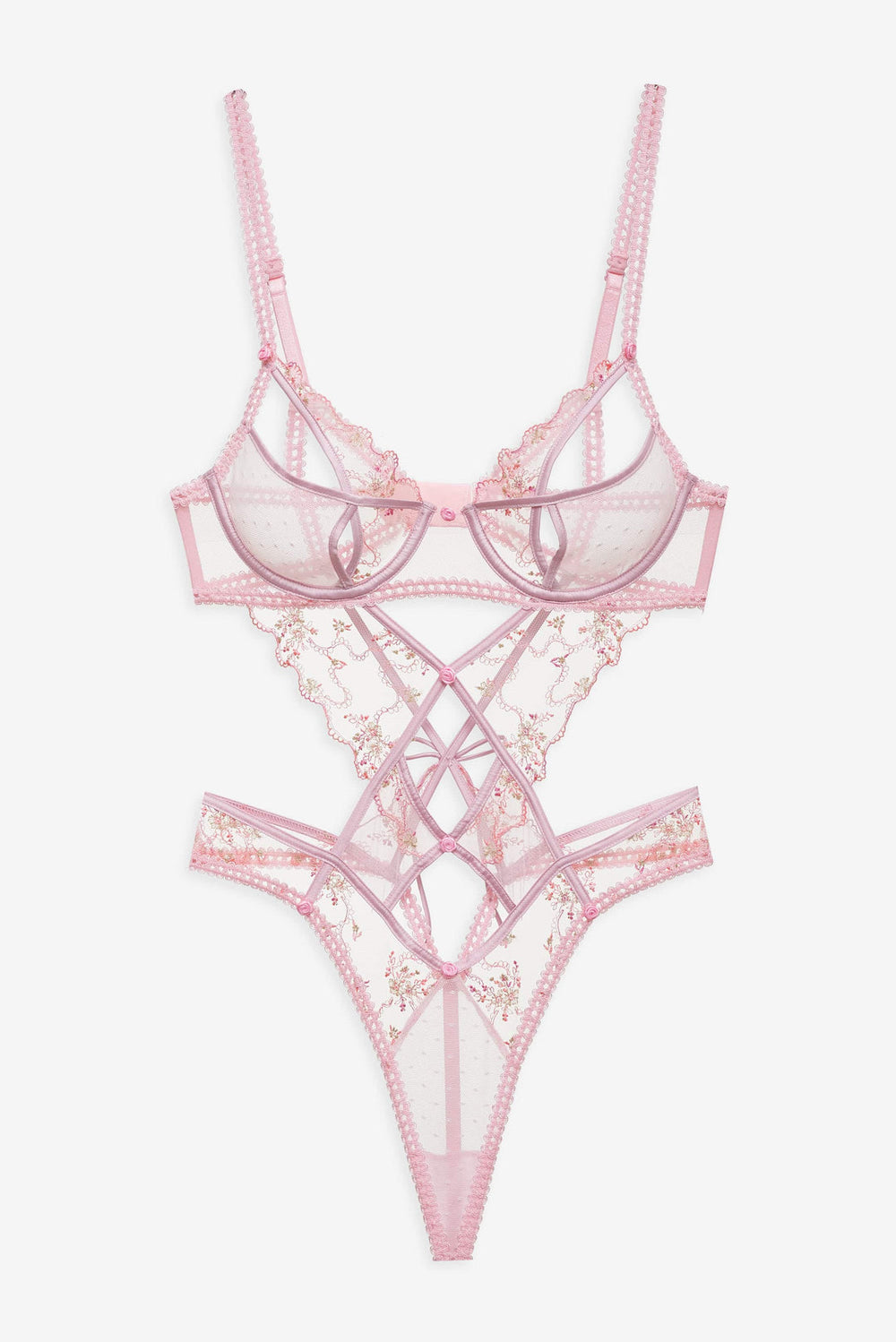 Dainty Daphne Teddy Pink