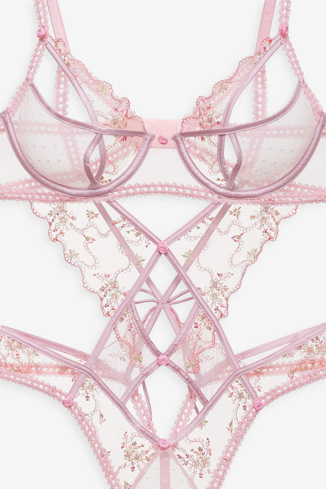 Dainty Daphne Teddy Pink