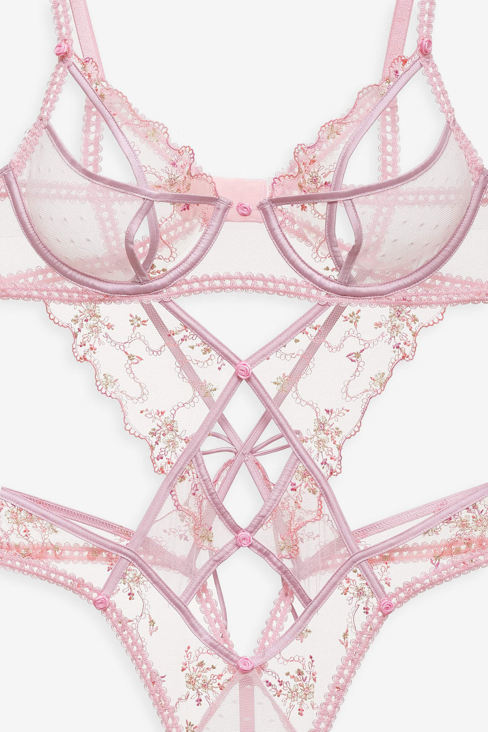 Dainty Daphne Teddy Pink