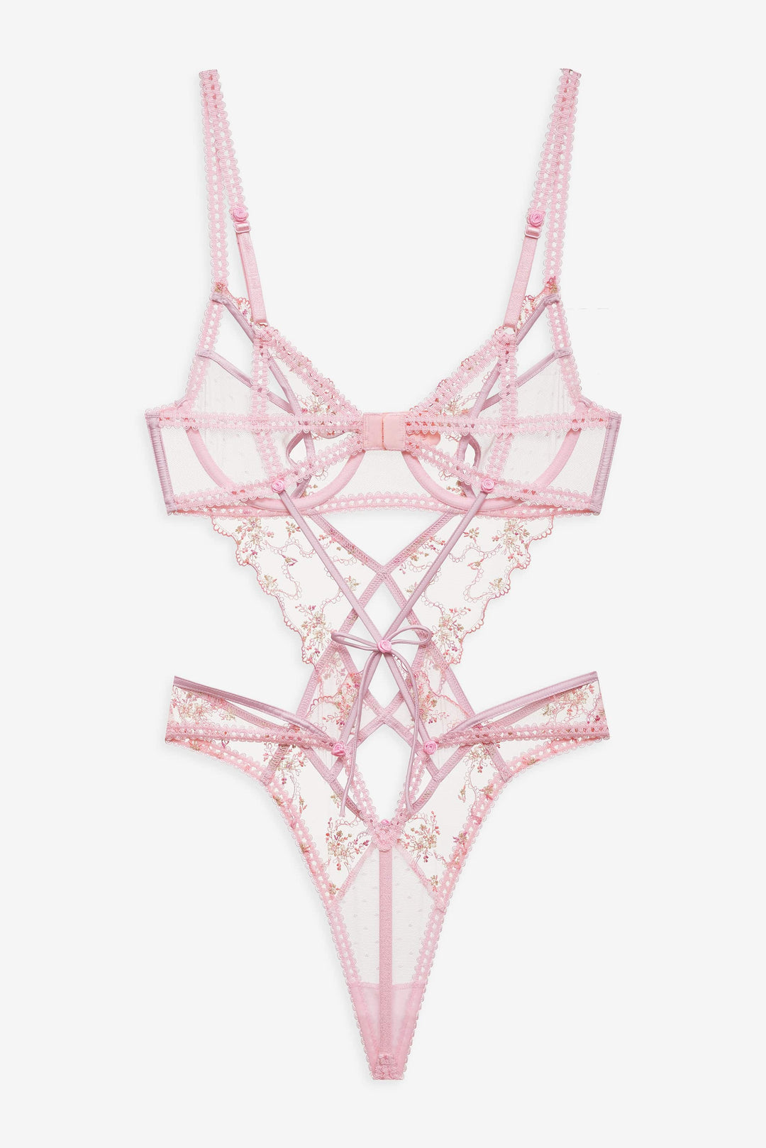 Dainty Daphne Teddy Pink