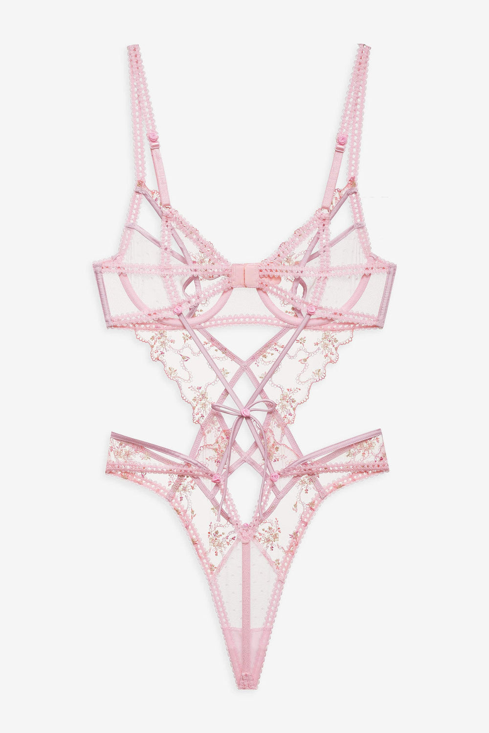 Dainty Daphne Teddy Pink